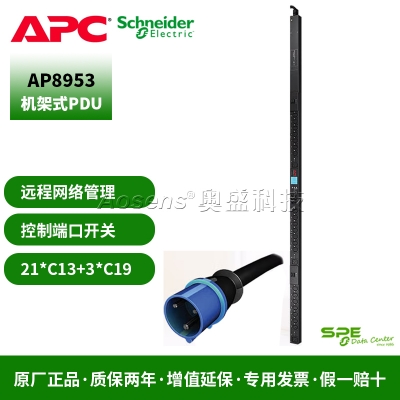 施耐德（APC）AP8953 Switched Rack PDU 开关式机架配电单元